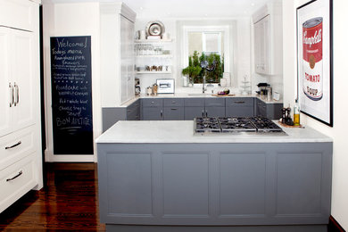Inspiration for a mid-sized transitional galley dark wood floor kitchen pantry remodel in Philadelphia with a drop-in sink, yellow cabinets, stainless steel appliances, an island and recessed-panel cabinets