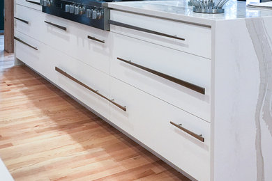 Trendy kitchen pantry photo in Baltimore with flat-panel cabinets