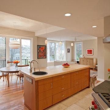 Kitchen & Dining Room - Whole House Renovation & Addition in Arlington, VA