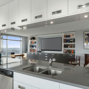 Kitchen and Entertainment Unit in Skokie