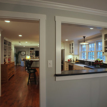 Kitchen & Family Room Remodel