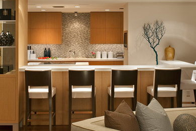 Inspiration for a modern kitchen remodel in Dallas