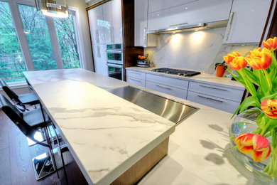 Example of a large transitional single-wall dark wood floor and brown floor eat-in kitchen design in Other with flat-panel cabinets, white cabinets, an island, white backsplash, stainless steel appliances and an undermount sink