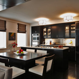 https://www.houzz.com/photos/kitchen-designs-by-ken-kelly-kitchen-13-contemporary-kitchen-new-york-phvw-vp~54093