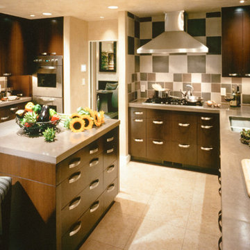 Kitchen Dreams: Sleek Modern Design