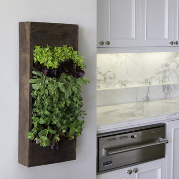 Kitchen Herbs