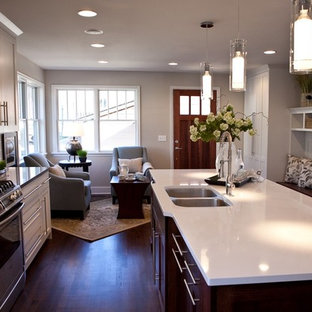 Contemporary kitchen designs - Kitchen - contemporary kitchen idea in Minneapolis