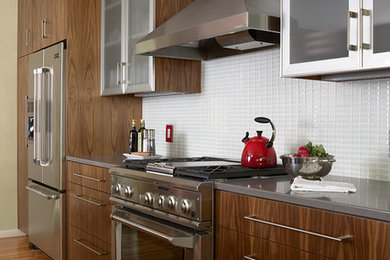 Example of a trendy kitchen design in Minneapolis with stainless steel appliances