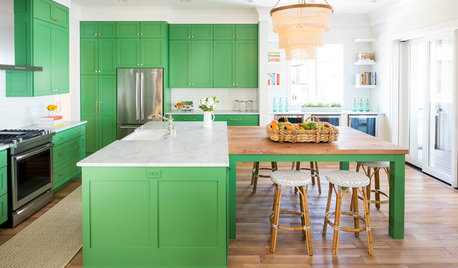 Kitchen of the Week: It’s Easy Being Green