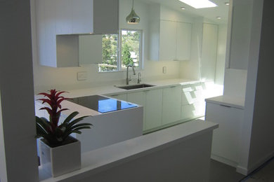 Example of a small 1950s l-shaped porcelain tile enclosed kitchen design in San Diego with a single-bowl sink, flat-panel cabinets, white cabinets, quartzite countertops and paneled appliances