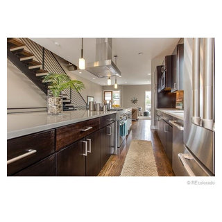 Kitchen Modern - Modern - Kitchen - Denver - by BMC Cabinets | Houzz