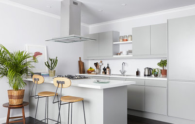 10 of the Most Amazing Small Kitchens on Houzz