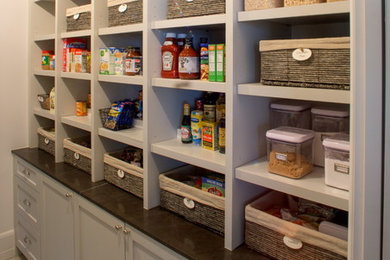 Kitchen pantry - large traditional single-wall kitchen pantry idea in Houston with recessed-panel cabinets and no island