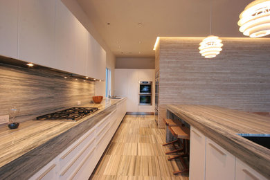 Example of a minimalist kitchen design in Miami