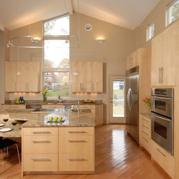 https://www.houzz.com/photos/kitchen-projects-contemporary-kitchen-boston-phvw-vp~160153