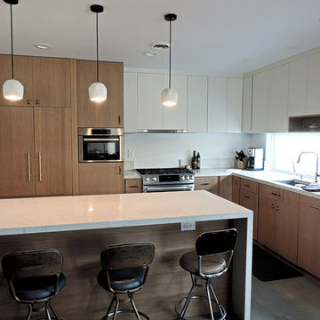 Kitchen Remodel in Los Angeles