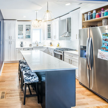 Kitchen Remodel in River Forest, IL.