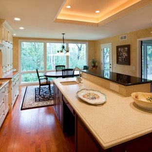 Kitchen - contemporary kitchen idea in Milwaukee