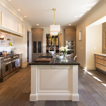 Kitchen Remodel - Lake Forest IL