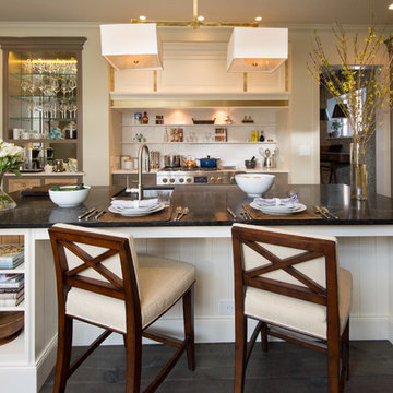 Kitchen Remodel - Lake Forest IL