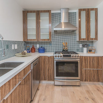 Kitchen Remodel Thousand Oaks Facing Appliances