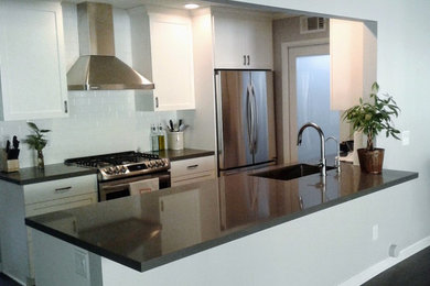 Example of a minimalist kitchen design in Los Angeles