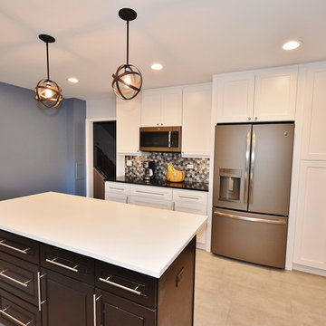 Kitchen Remodeling Project in Crain St. Evanston