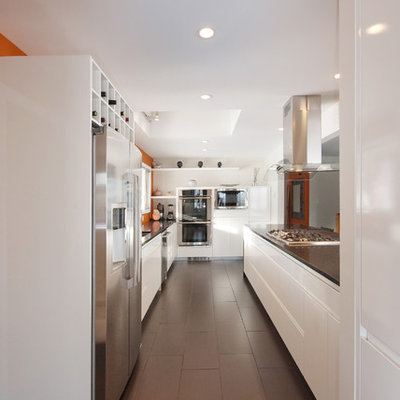Inspiration for a contemporary galley kitchen remodel in Other with stainless steel appliances, flat-panel cabinets, white cabinets and quartz countertops