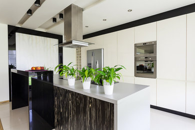 Example of a large minimalist l-shaped kitchen pantry design in Vancouver with flat-panel cabinets, white cabinets, solid surface countertops, stainless steel appliances and an island