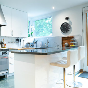 Kitchen renovation Toronto