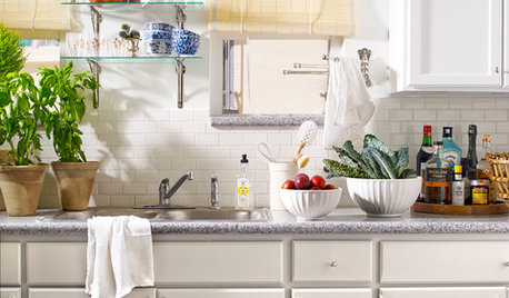 Kitchen of the Week: Making Over a Rental for About $1,500