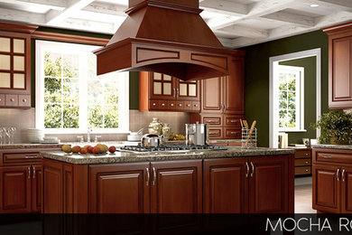 Design ideas for a kitchen in DC Metro.