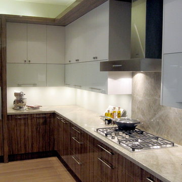 Kitchen with tiger wood finish and slabs of marble
