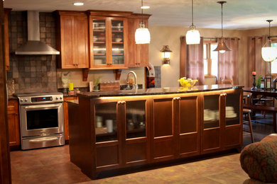 Transitional kitchen photo in Minneapolis