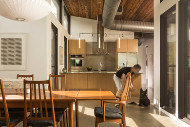 Trendy kitchen photo in Dallas