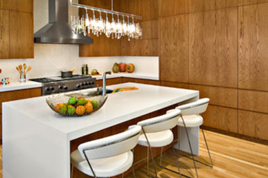 Immagine di una cucina con ante lisce, ante in legno scuro, elettrodomestici in acciaio inossidabile e parquet chiaro