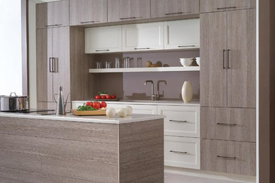 Imagen de cocina actual de tamaño medio abierta con fregadero integrado, armarios con paneles lisos, electrodomésticos de acero inoxidable y una isla