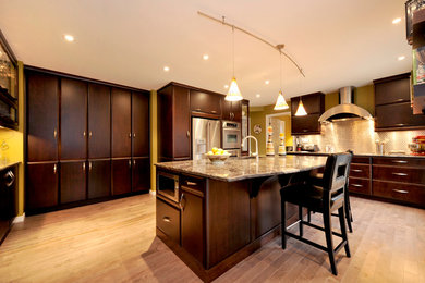 Kitchen - transitional dark wood floor kitchen idea in Toronto with a double-bowl sink, flat-panel cabinets, dark wood cabinets, granite countertops, mirror backsplash, stainless steel appliances and an island