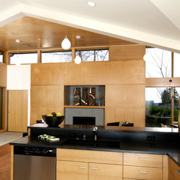 Knowles Residence - Kitchen