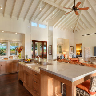Esempio di una cucina tropicale con lavello sottopiano, ante in stile shaker, ante in legno scuro, parquet scuro e isola