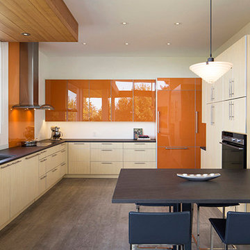 Kurt Lavenson Design - Breuning Piedmont Home