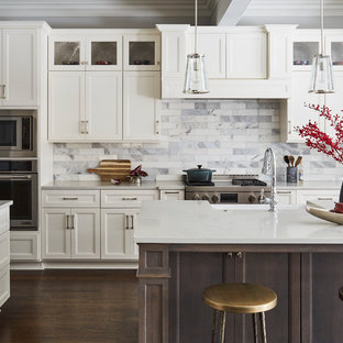 La Grange Park Residence - Kitchen
