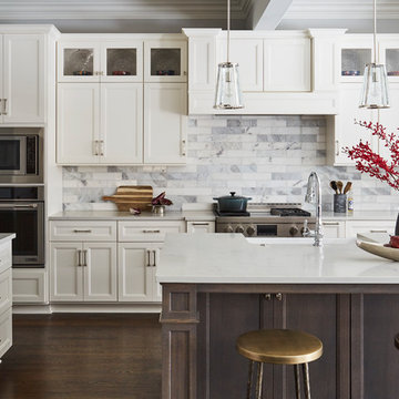 La Grange Park Residence - Kitchen