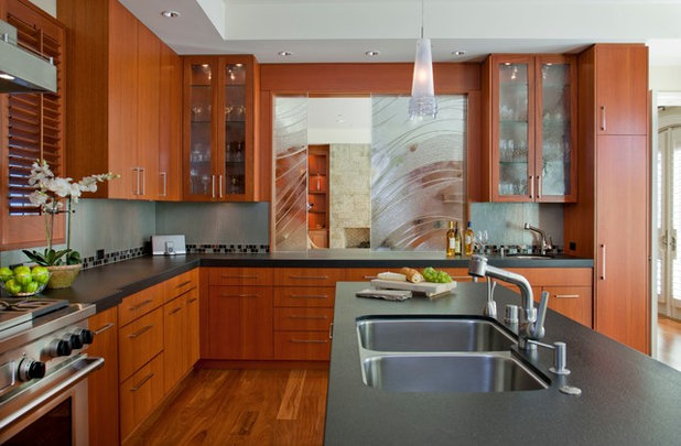 Contemporary Kitchen by Alpha Design Group