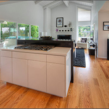 La Mesa Kitchen & Living Room Remodel