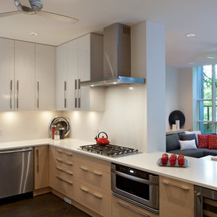 Ispirazione per una cucina design con ante lisce e elettrodomestici in acciaio inossidabile