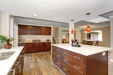Immagine di una cucina minimal di medie dimensioni con lavello a doppia vasca, ante in stile shaker, ante in legno scuro, elettrodomestici in acciaio inossidabile, pavimento in legno massello medio e pavimento marrone