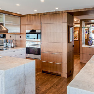 Lake Shore Drive Condo