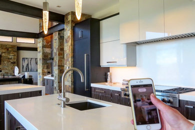 Kitchen - modern kitchen idea in Denver