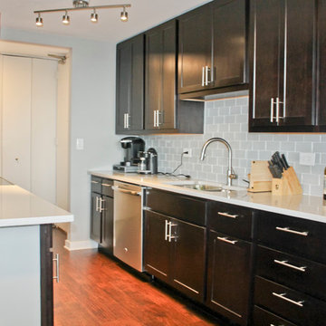 Lakeview Condo Remodeling - Kitchen, Bathroom, Flooring (800 sq ft)